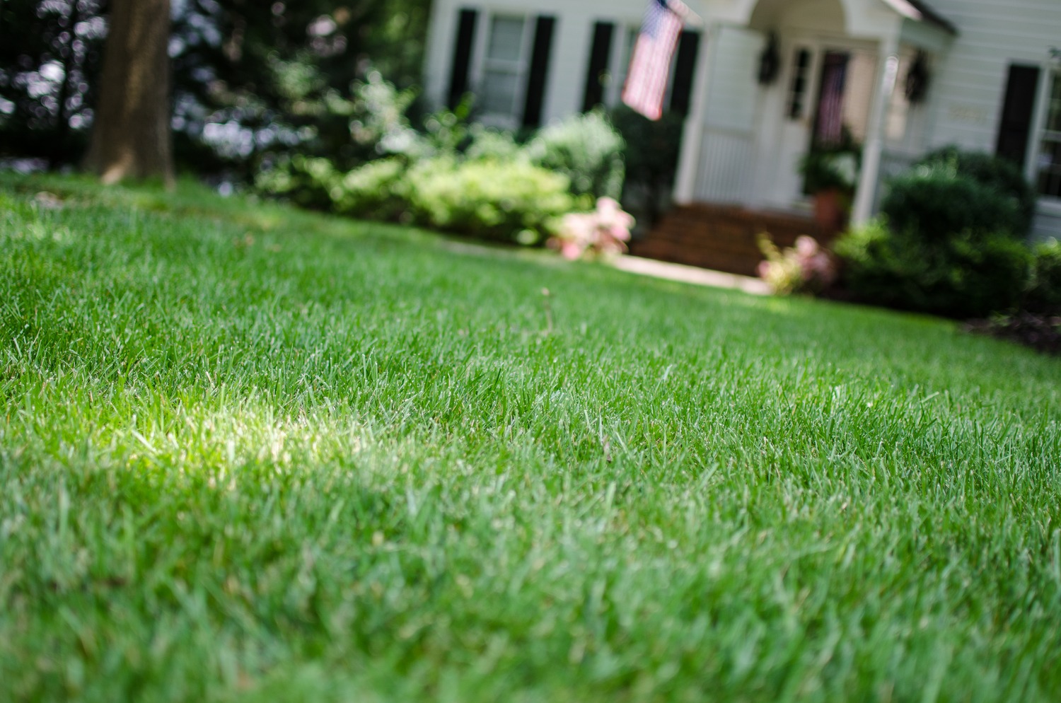 A well-maintained lawn leading to a house entrance with a small porch, surrounded by greenery and an American flag hanging nearby.