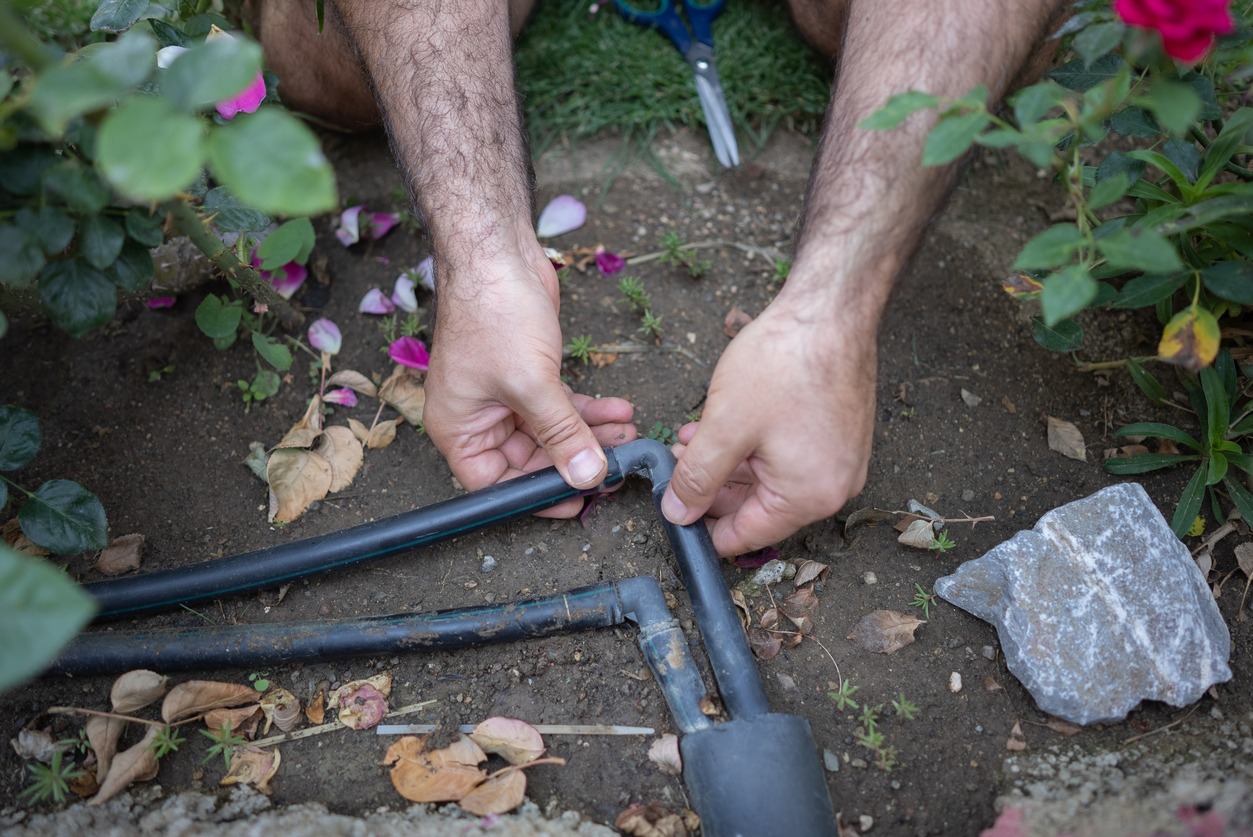 A person is connecting garden irrigation pipes surrounded by flowers and leaves, with scissors visible nearby on the soil.