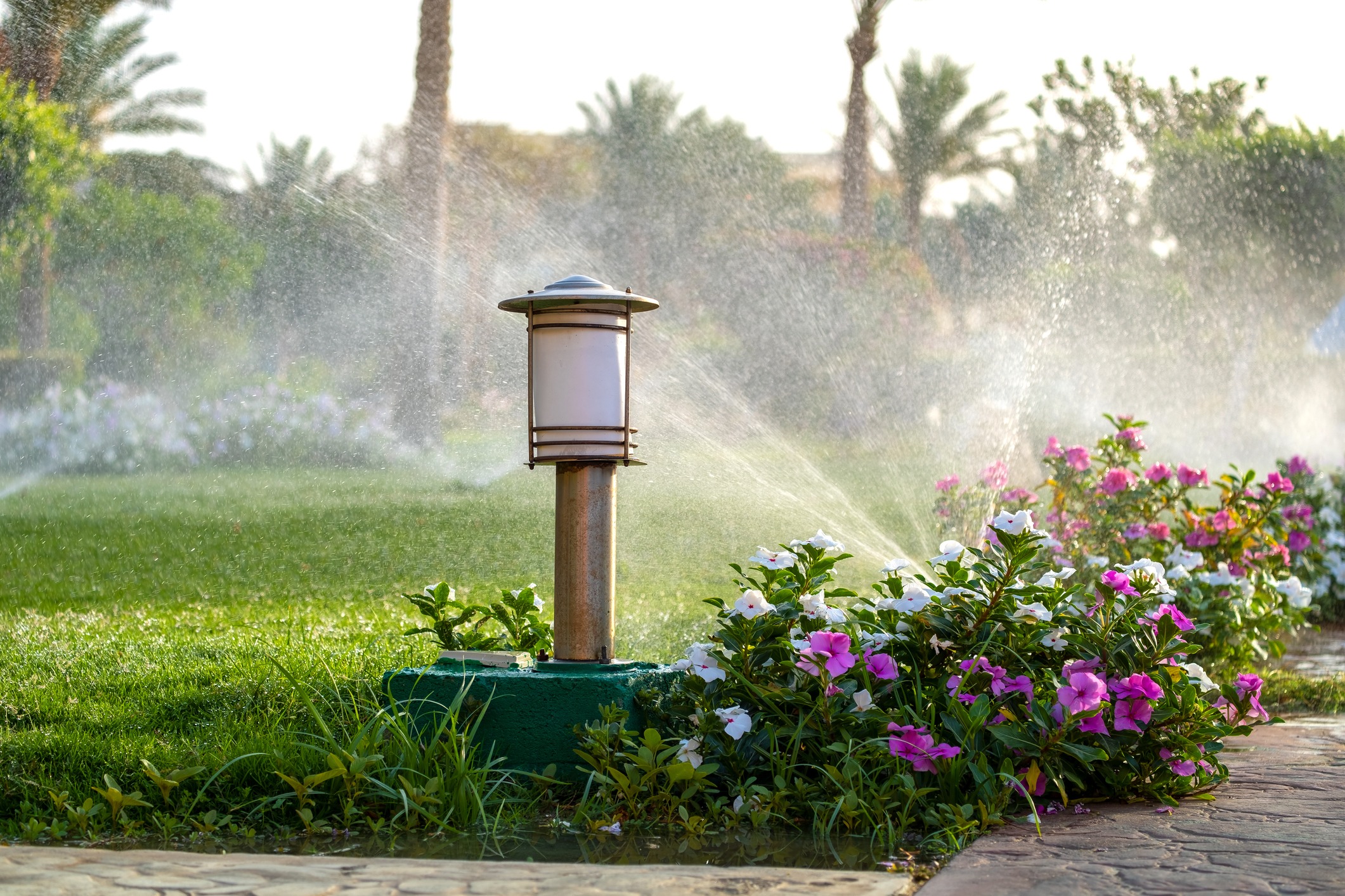 A garden scene with sprinklers watering colorful flowers and grass, framed by palm trees. A path and lamp post are visible.