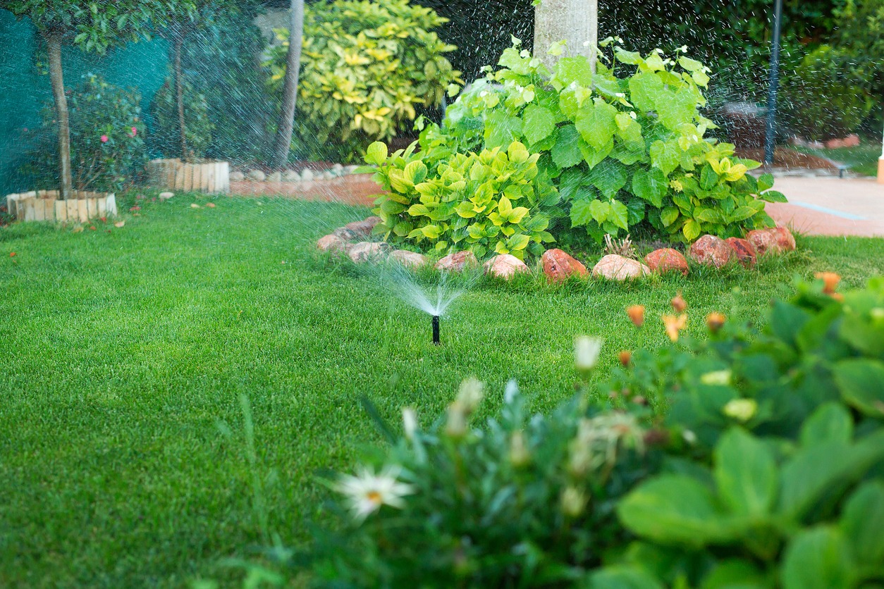 Lush garden with vibrant green grass and colorful flowers. A sprinkler waters the plants, surrounded by leafy shrubs and a stone border.