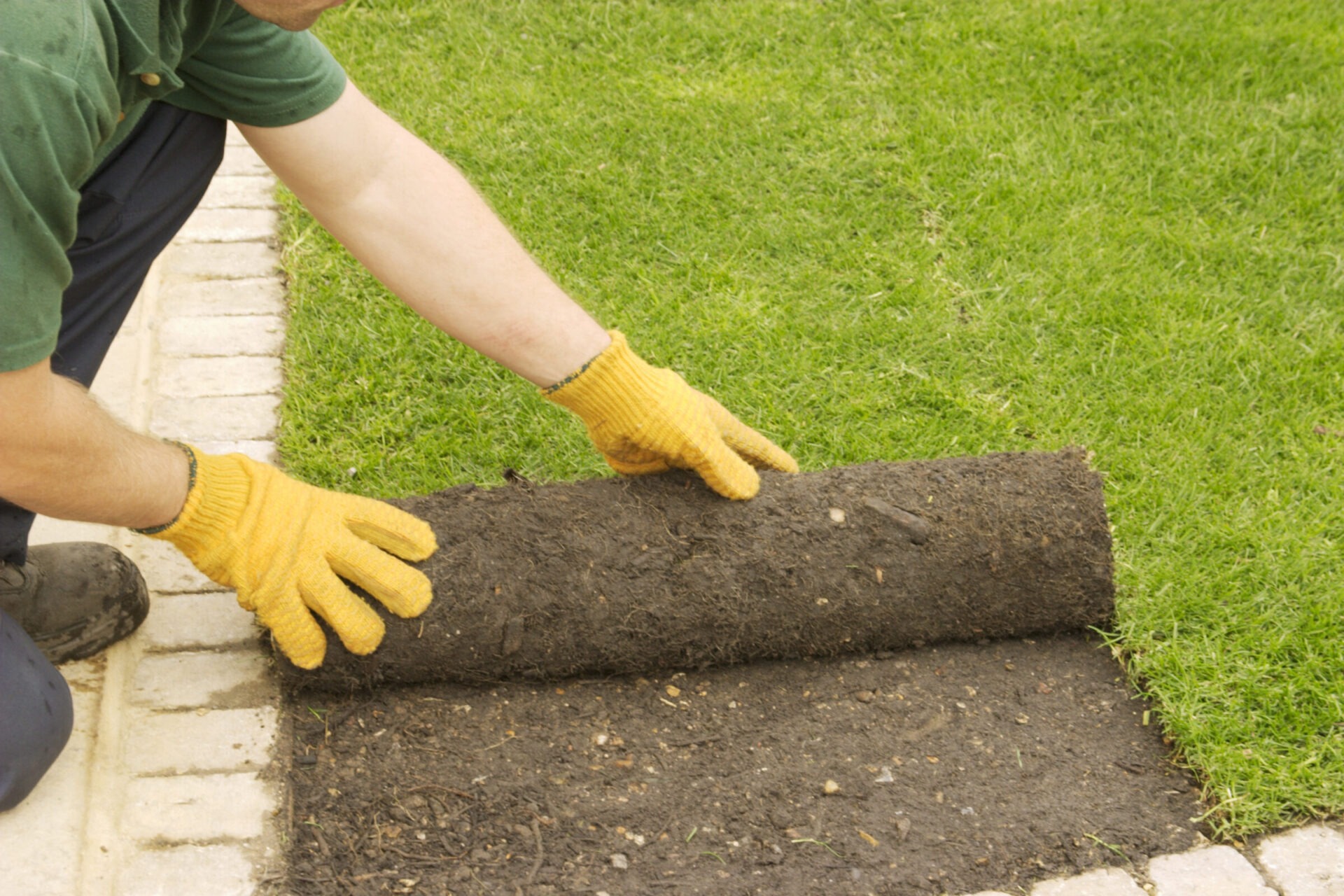 A person wearing yellow gloves is carefully laying down a roll of sod onto soil next to a brick pathway in a garden setting.