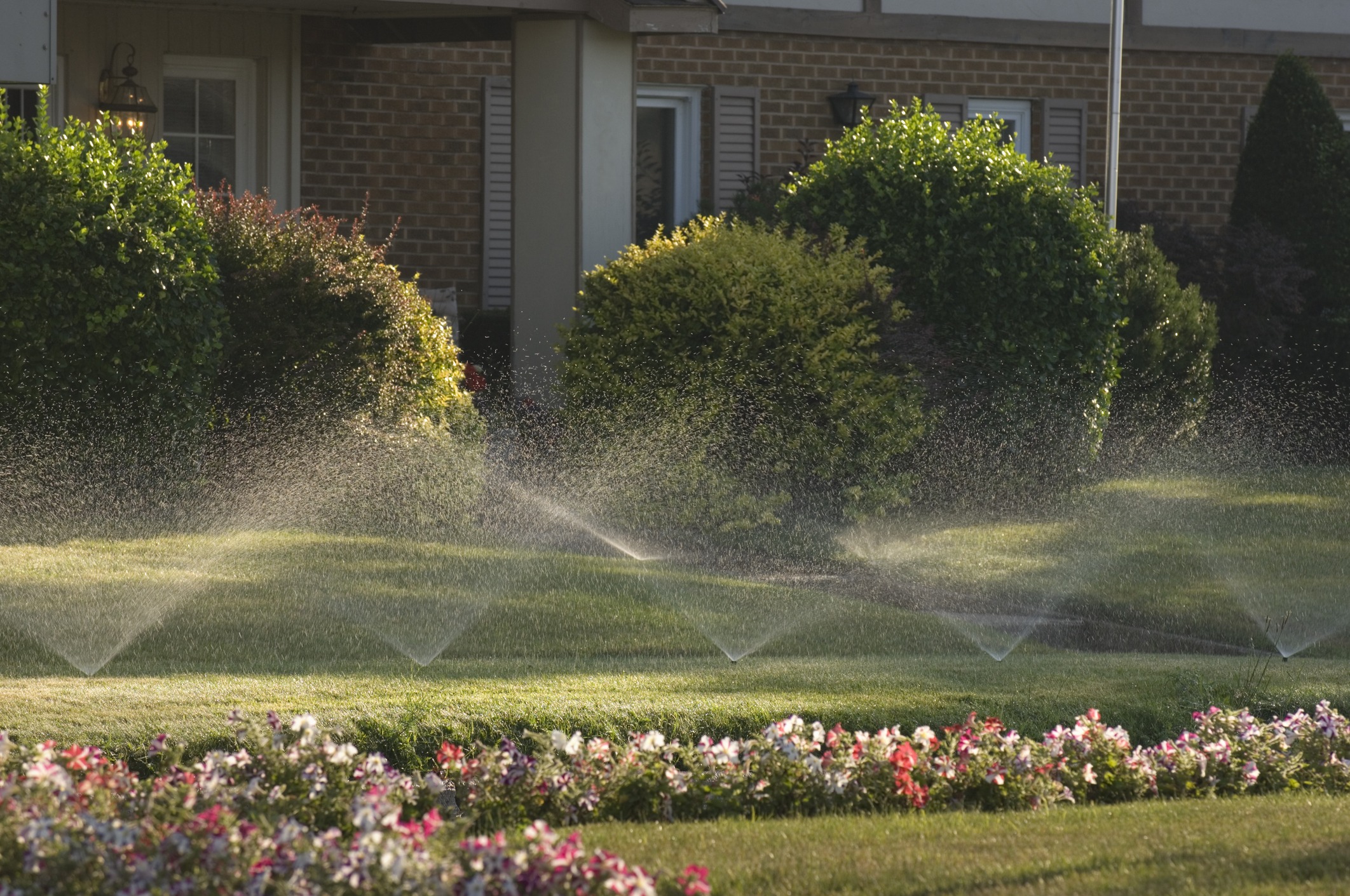 A garden with blooming flowers and bushes, featuring sprinklers watering the lawn outside a brick residential building in daylight.