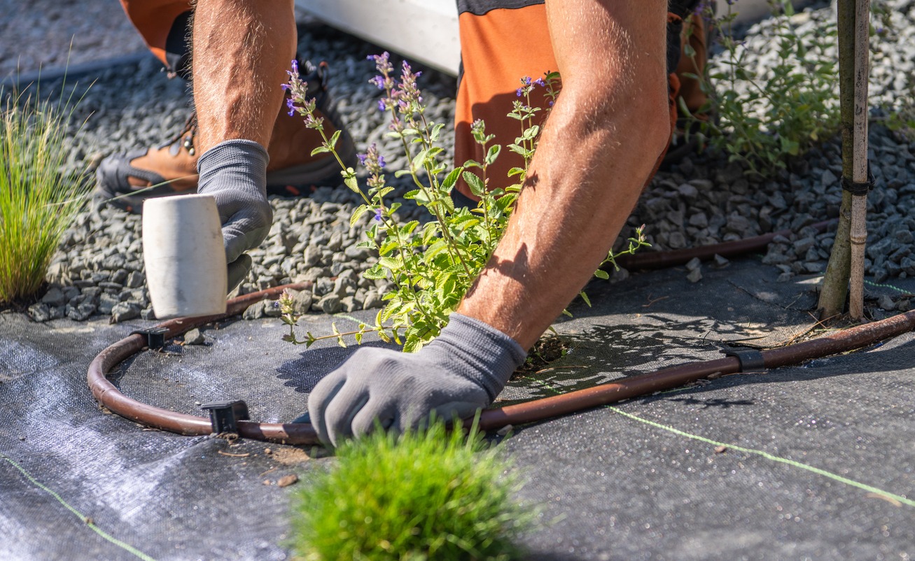 A person wearing gloves installs a drip irrigation system around plants on a rocky surface, using a white rubber mallet for adjustments.