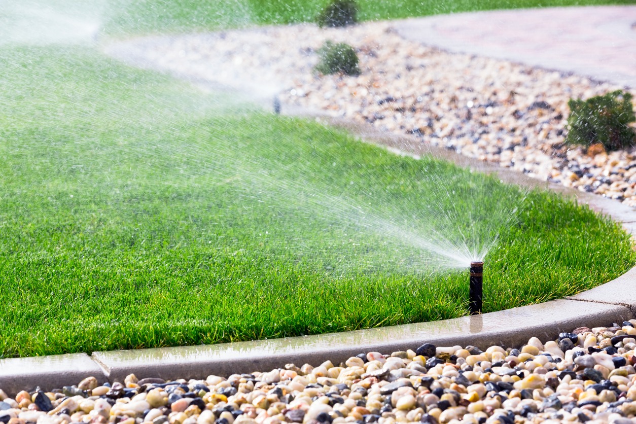 A lawn sprinkler waters a green grass area, bordered by decorative stones. The scene includes a paved walkway and small shrubs in the background.