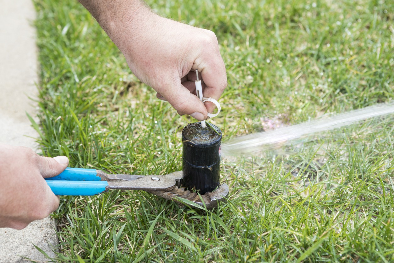 A person adjusts a sprinkler head in the grass using pliers. Water sprays from the sprinkler, indicating maintenance work in progress.