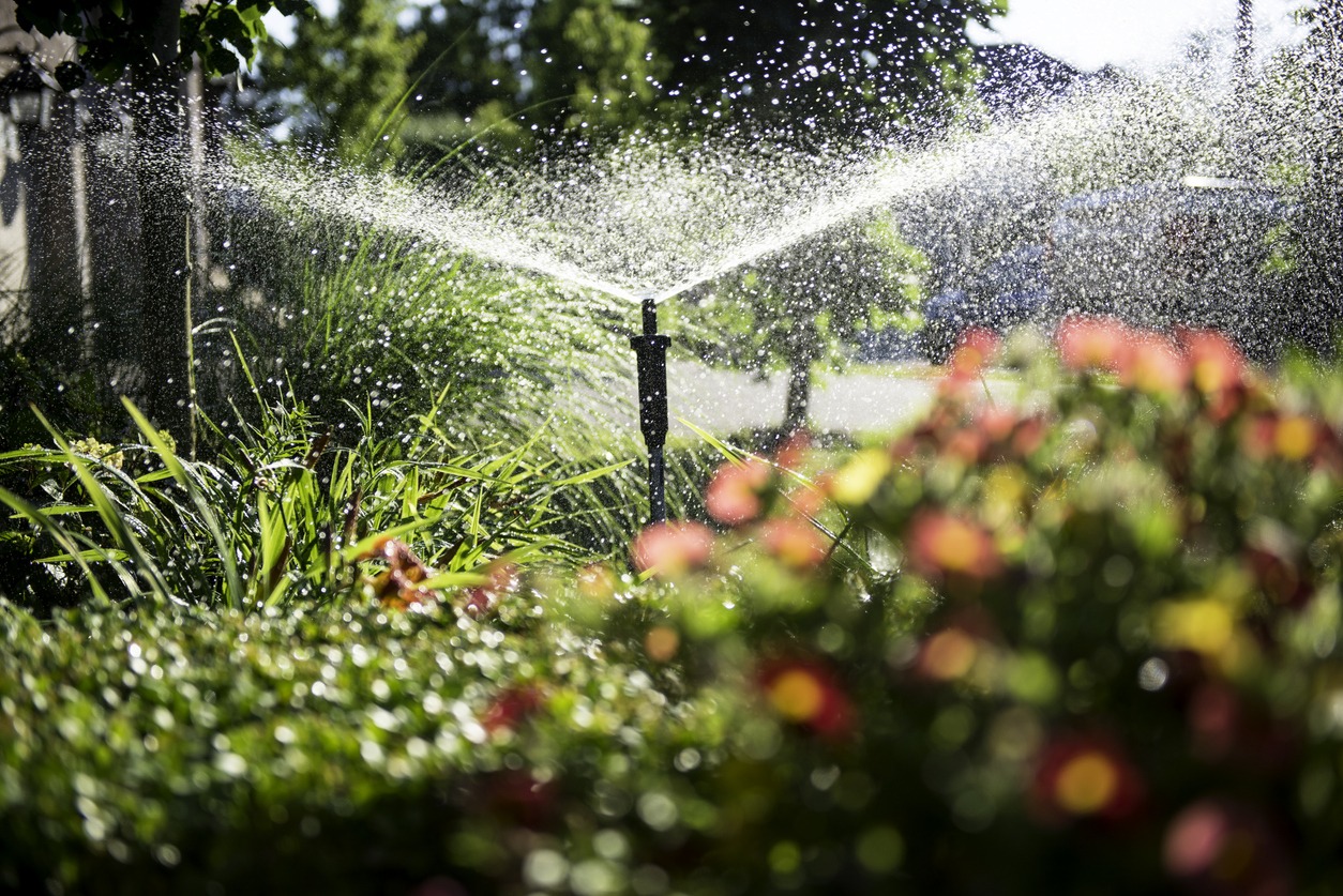 A garden with blooming flowers and lush greenery is being watered by a sprinkler under sunlight, creating a refreshing and vibrant scene.