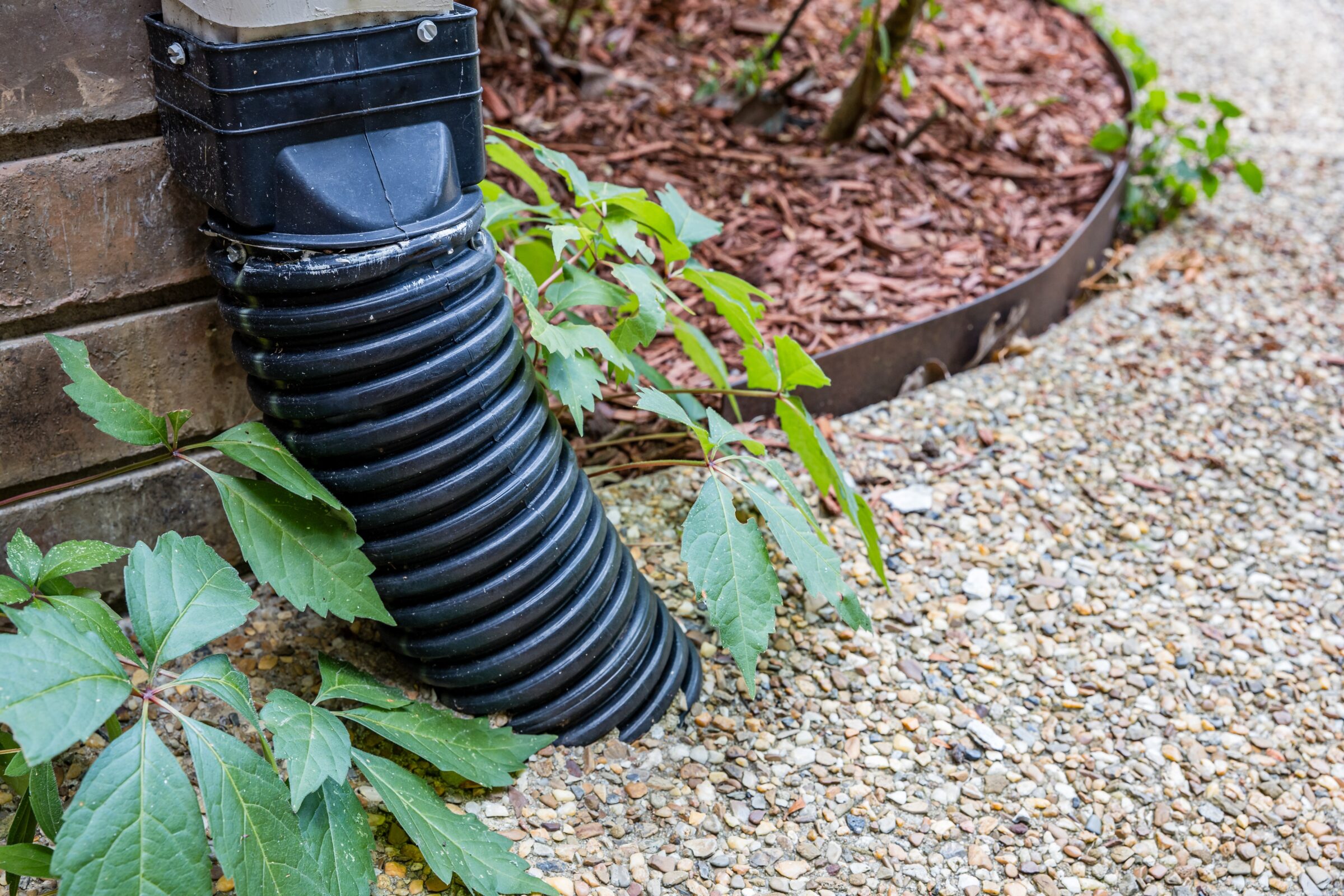 Black corrugated drain pipe directs water away from brick wall, surrounded by green plants and red mulch, onto a gravel pathway.