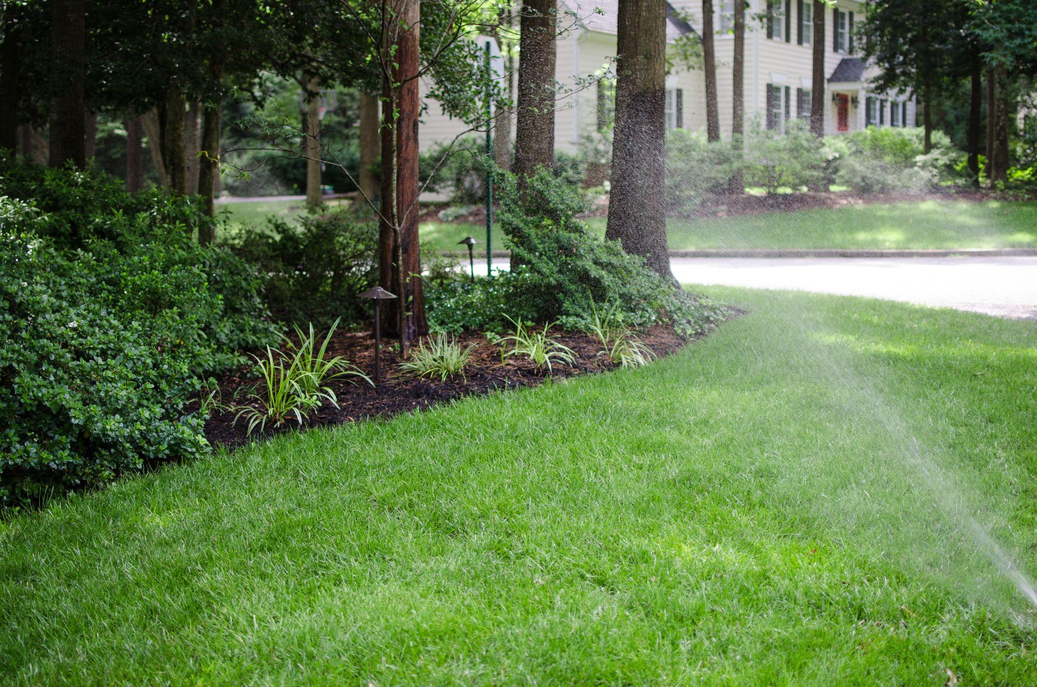 A landscaped yard with a bright green lawn, trees, and plants. A lawn sprinkler waters the grass near a residential building.
