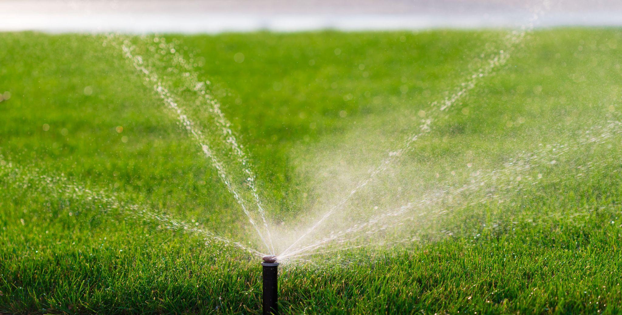 Close-up of a lawn sprinkler head distributing water evenly across thick green grass.