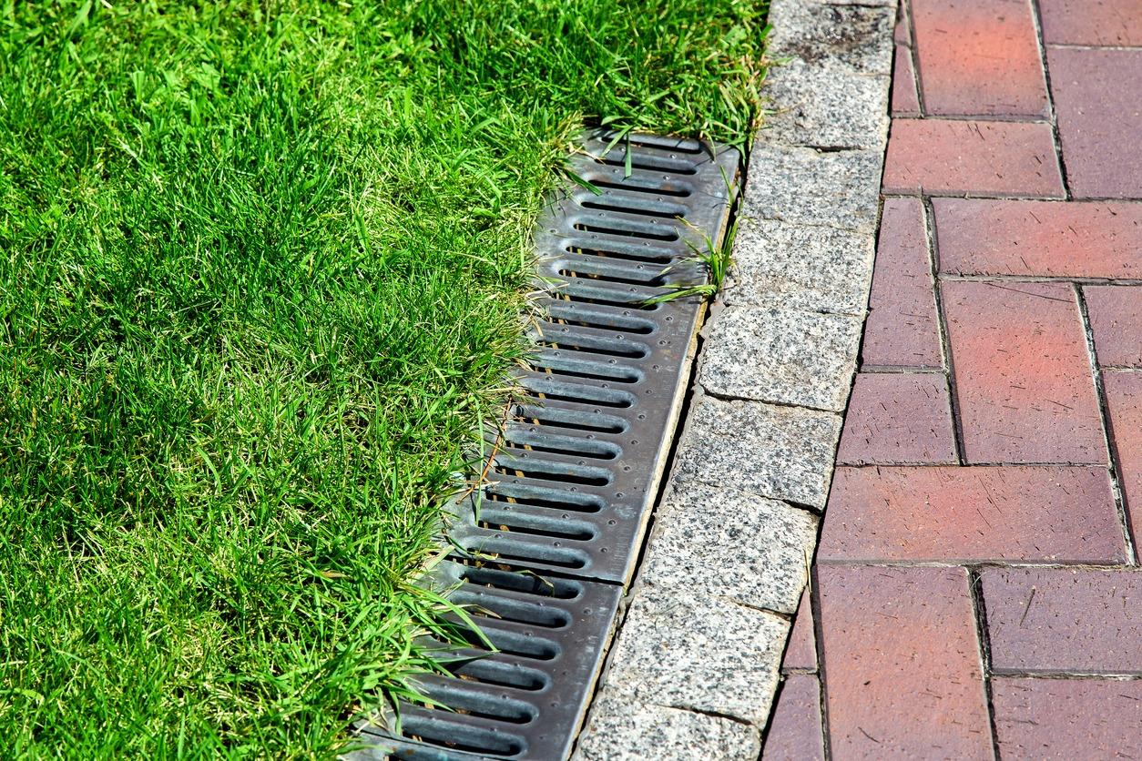 Grass borders a paved walkway, separated by a metal drainage grate. The image shows a clear distinction between the lawn and brick path.