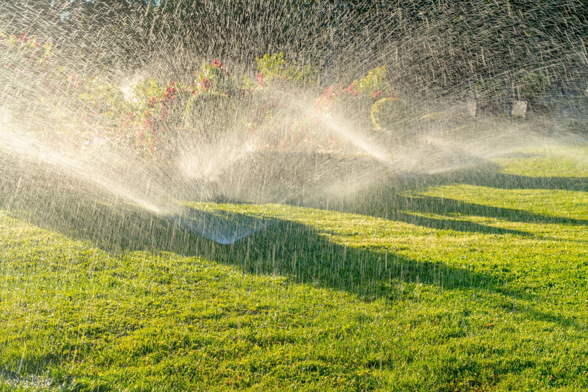 Two lawn sprinklers spraying water in wide arcs across a bright green grassy area.