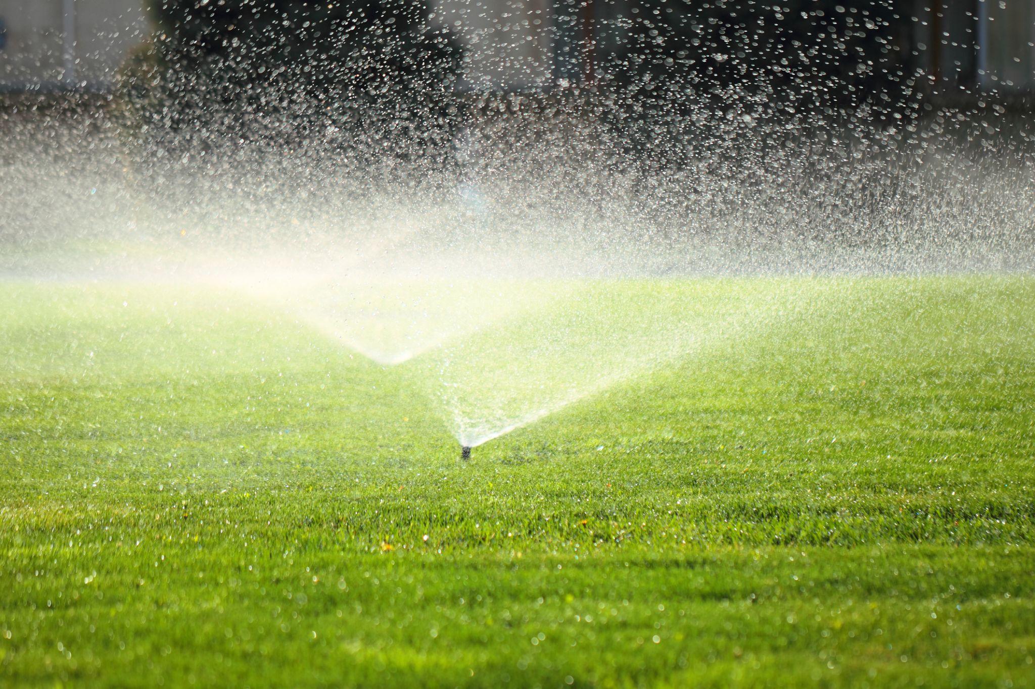 Two lawn sprinklers spraying water in wide arcs across a bright green grassy area.